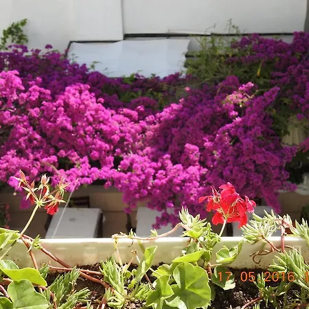 Kale בודרום