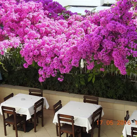 Kale Nocleg ze śniadaniem Bodrum