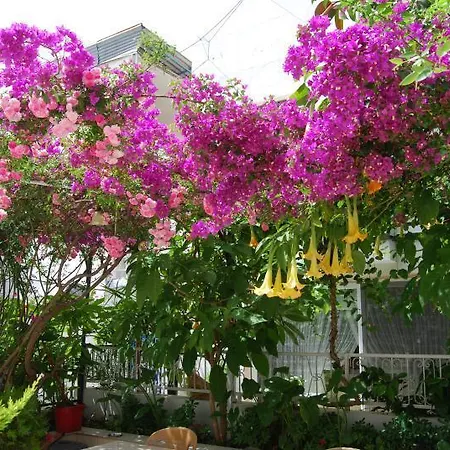 Nocleg ze śniadaniem Kale Bodrum