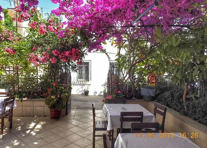 לינה וארוחת בוקר Kale