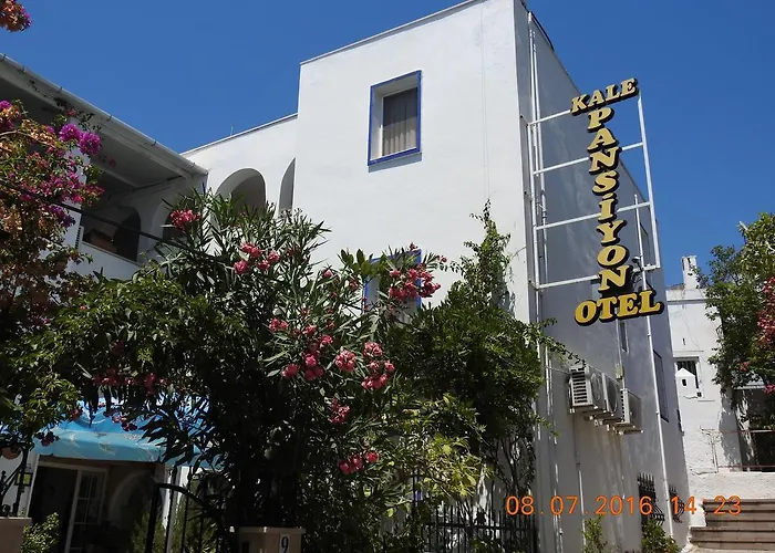 Kale Bodrum