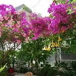 B&B Kale Bodrum