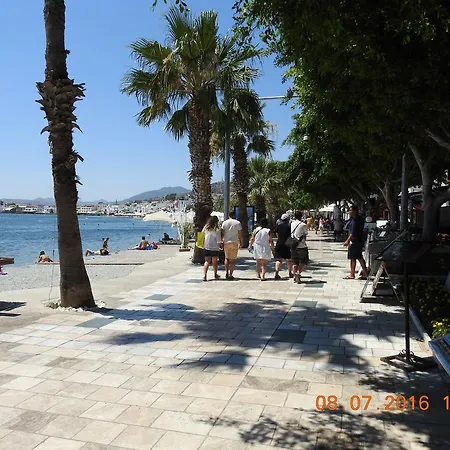 Kale Bodrum