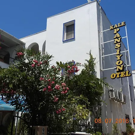 Kale Bodrum